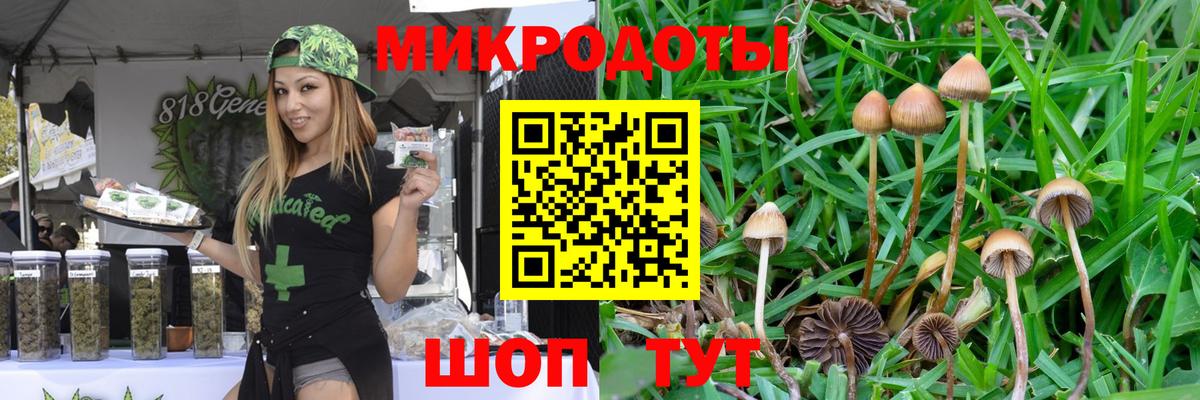 Солнечногорск  Псилоцибиновые грибы мухоморы  Псилоцибиновые грибы Psilocybe  Вход с VPN 