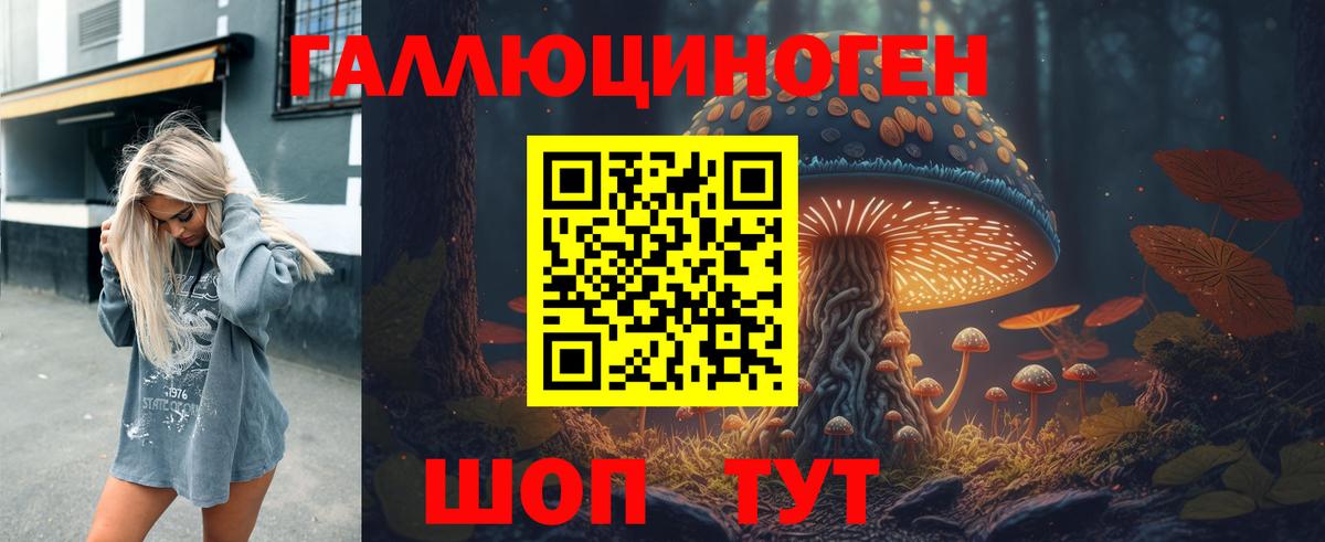 Галлюциногенные грибы Cubensis Солнечногорск